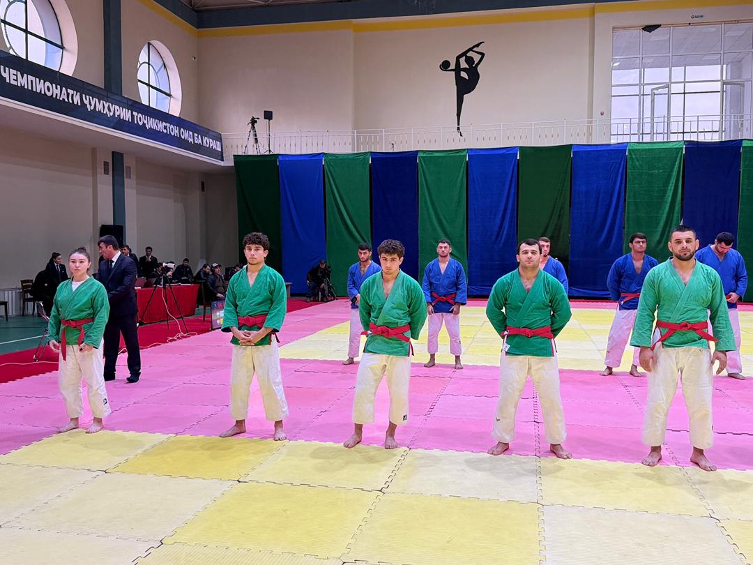 WhatsApp Image 2026-02-17 at 12.06.41